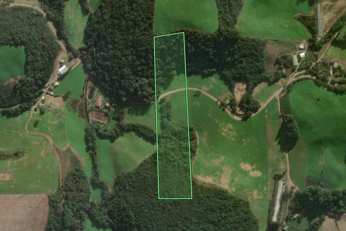 Imagem de satélite do imóvel rural em Santo Antônio do Palma (RS), com o contorno declarado no CAR desenhado por cima.