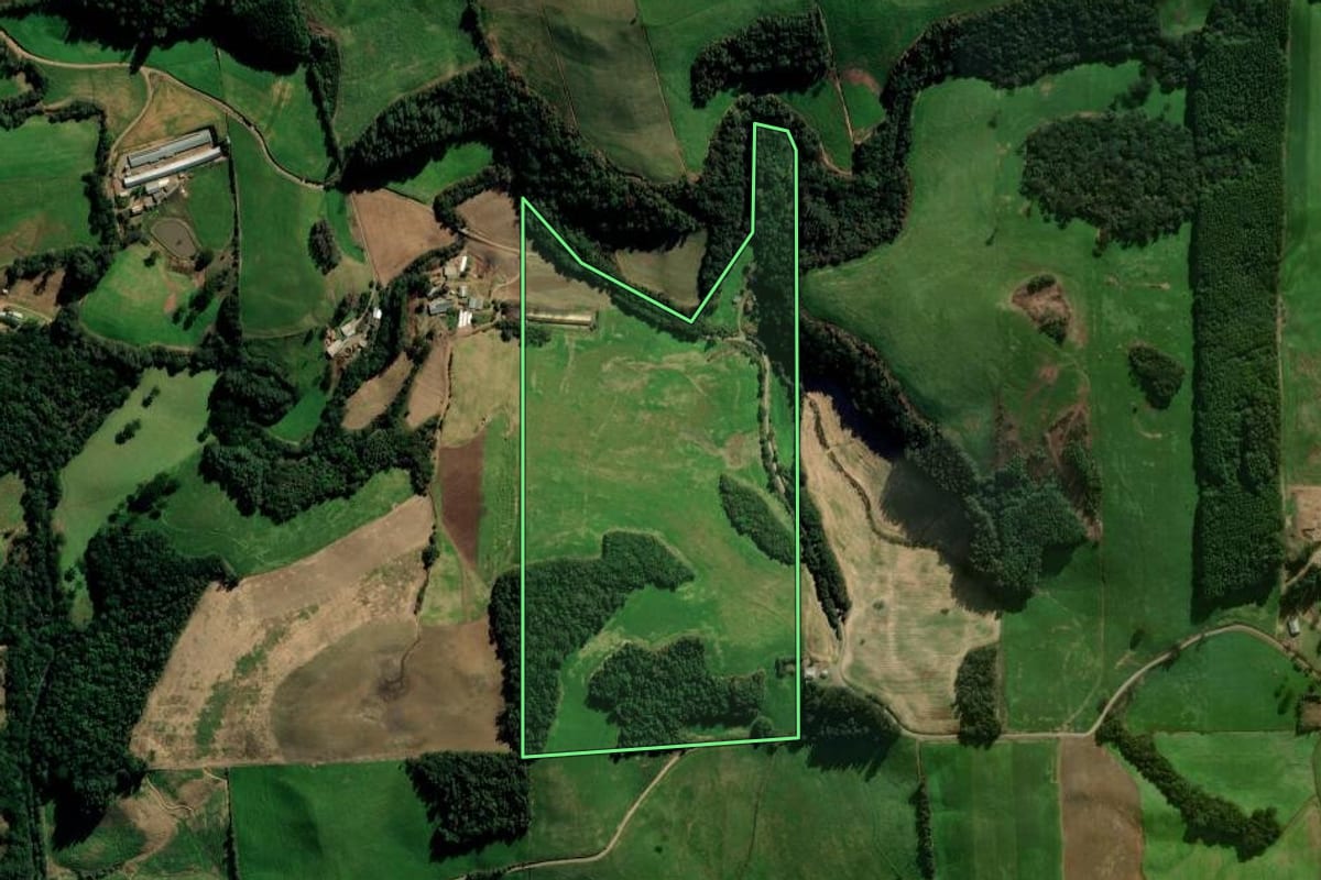 Imagem de satélite do imóvel rural em Santo Antônio do Palma (RS), com o contorno declarado no CAR desenhado por cima.