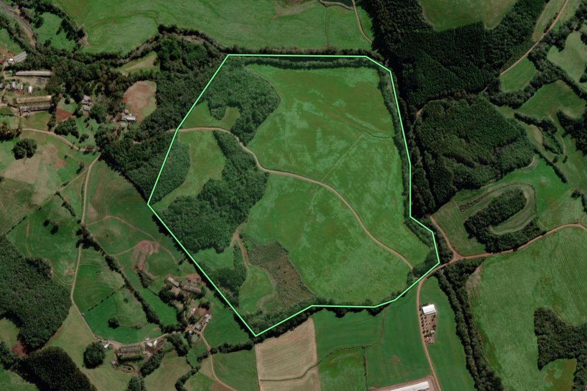 Imagem de satélite do imóvel rural em Santo Antônio do Palma (RS), com o contorno declarado no CAR desenhado por cima.