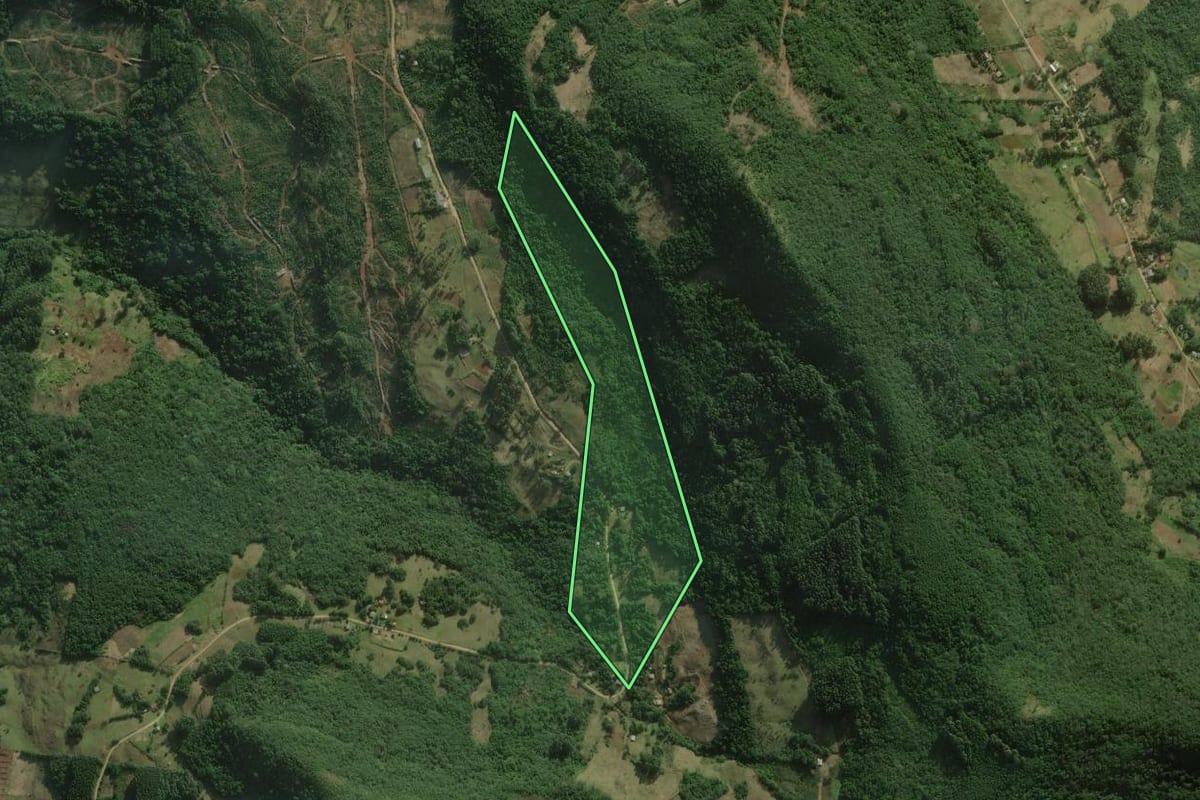 Imagem de satélite do imóvel rural em Santo Antônio da Patrulha (RS), com o contorno declarado no CAR desenhado por cima.