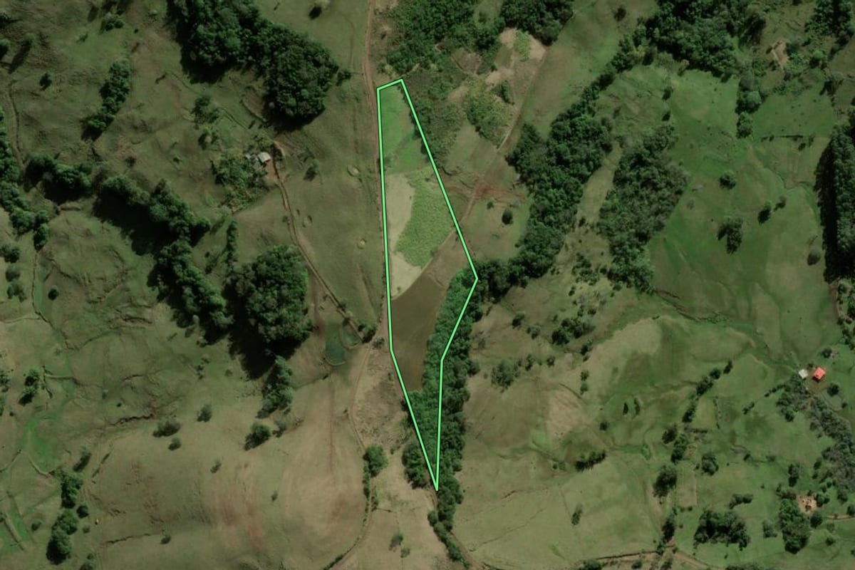 Imagem de satélite do imóvel rural em Santo Antônio da Patrulha (RS), com o contorno declarado no CAR desenhado por cima.