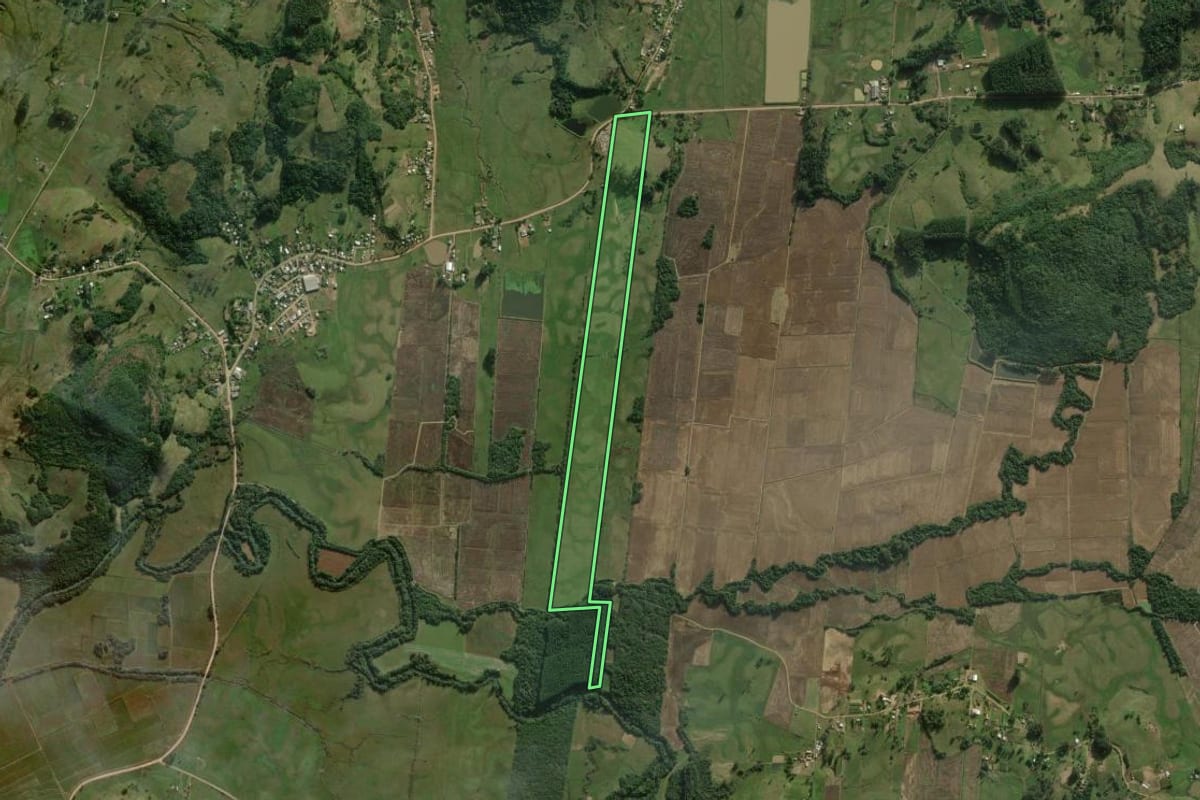 Imagem de satélite do imóvel rural em Santo Antônio da Patrulha (RS), com o contorno declarado no CAR desenhado por cima.