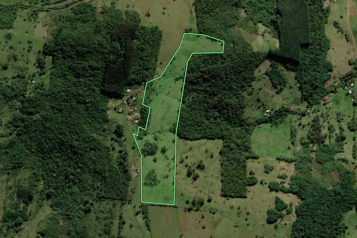 Imagem de satélite do imóvel rural em Santo Antônio da Patrulha (RS), com o contorno declarado no CAR desenhado por cima.