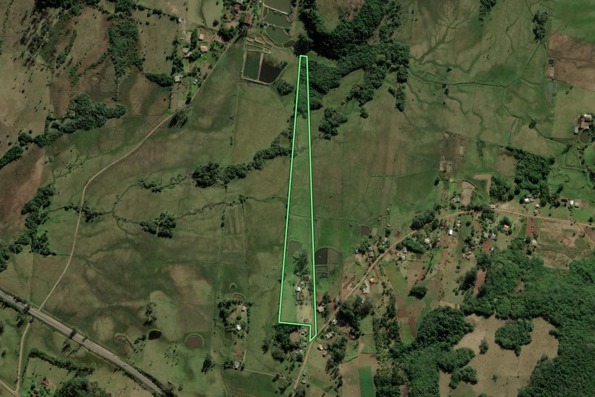 Imagem de satélite do imóvel rural em Santo Antônio da Patrulha (RS), com o contorno declarado no CAR desenhado por cima.