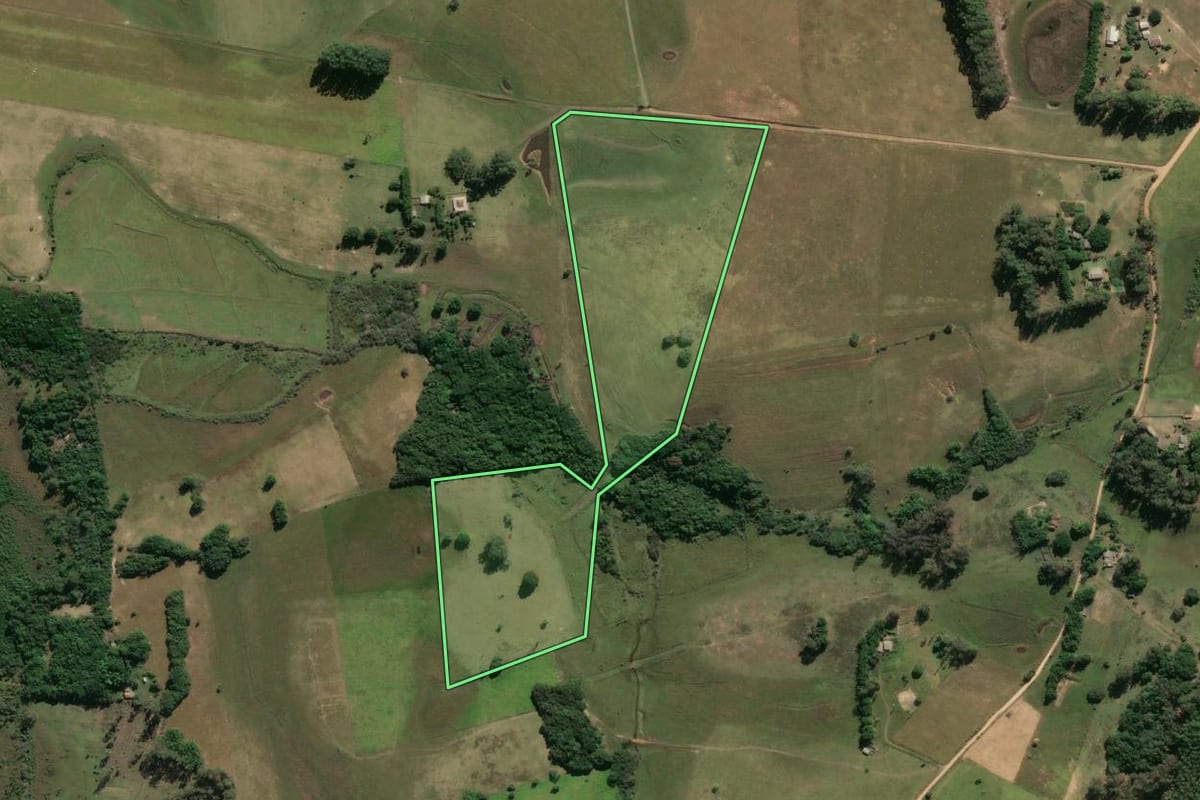 Imagem de satélite do imóvel rural em Santo Antônio da Patrulha (RS), com o contorno declarado no CAR desenhado por cima.