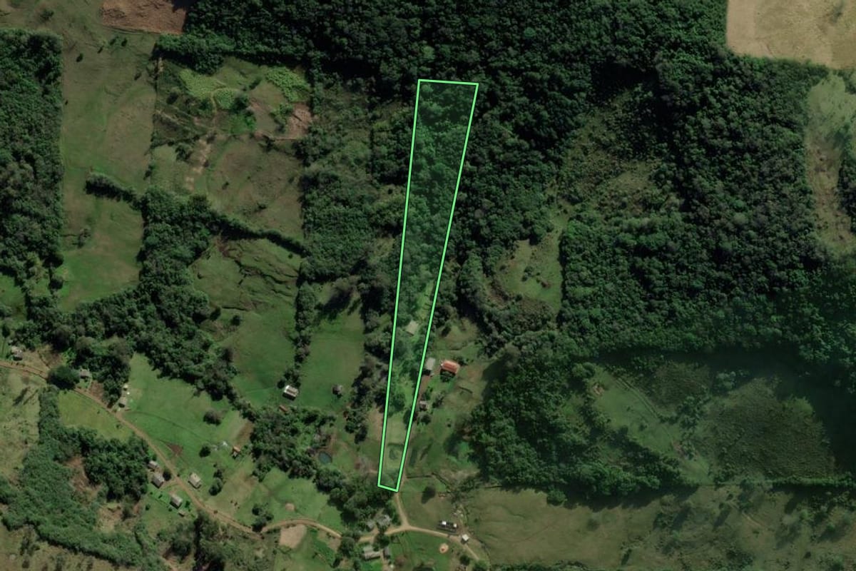 Imagem de satélite do imóvel rural em Santo Antônio da Patrulha (RS), com o contorno declarado no CAR desenhado por cima.