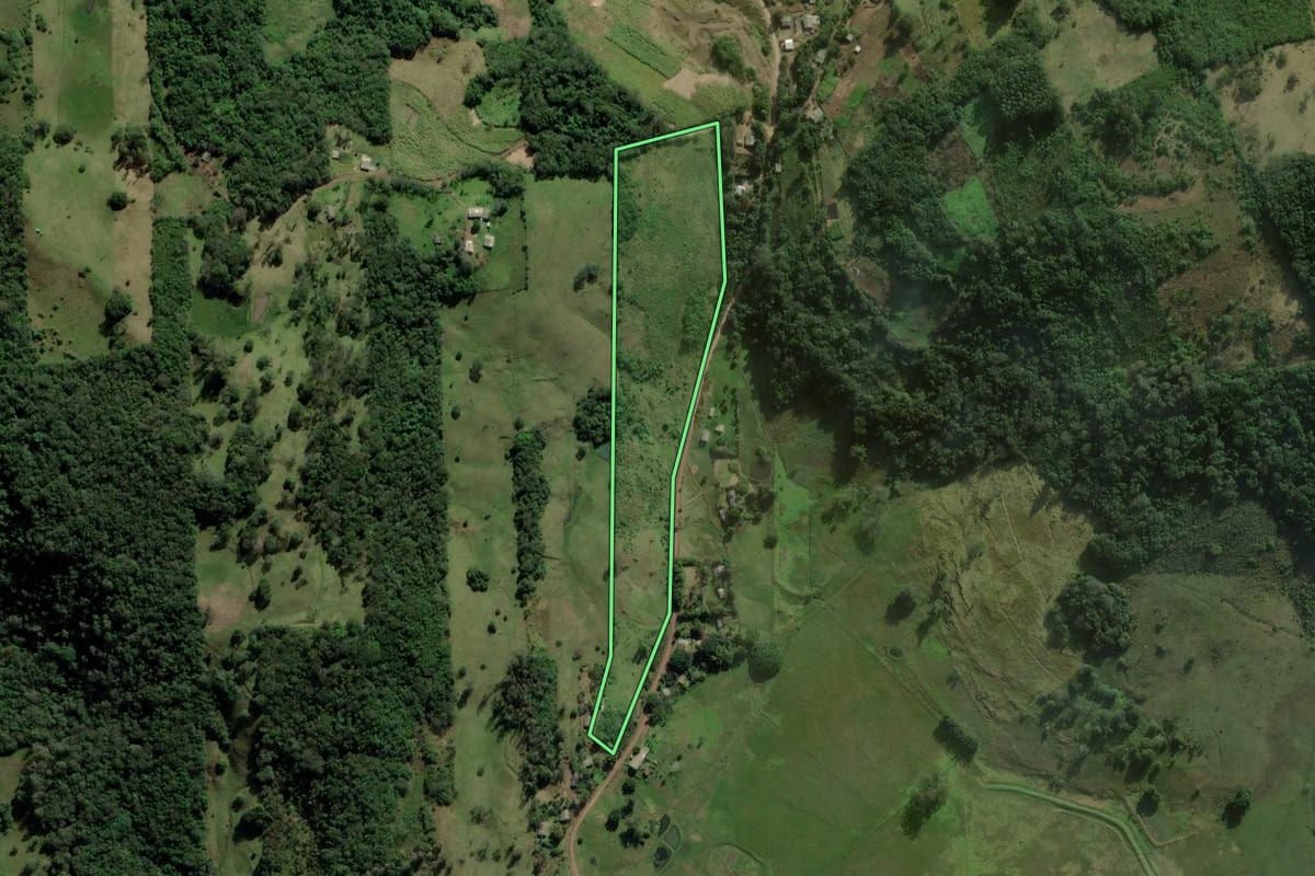 Imagem de satélite do imóvel rural em Santo Antônio da Patrulha (RS), com o contorno declarado no CAR desenhado por cima.