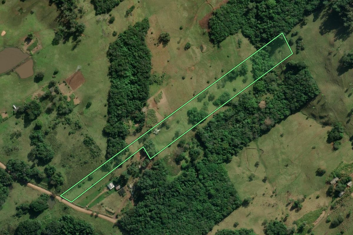 Imagem de satélite do imóvel rural em Santo Antônio da Patrulha (RS), com o contorno declarado no CAR desenhado por cima.