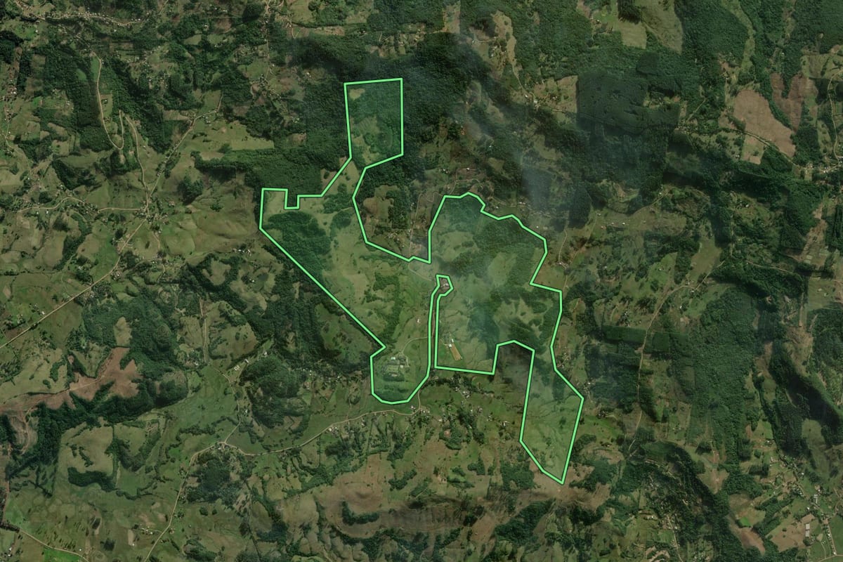 Imagem de satélite do imóvel rural em Santo Antônio da Patrulha (RS), com o contorno declarado no CAR desenhado por cima.