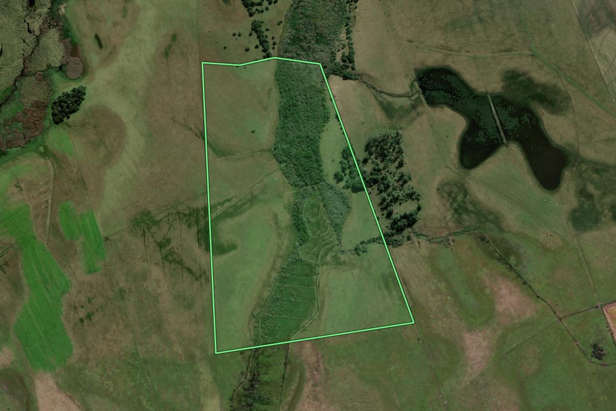 Imagem de satélite do imóvel rural em Santo Antônio da Patrulha (RS), com o contorno declarado no CAR desenhado por cima.