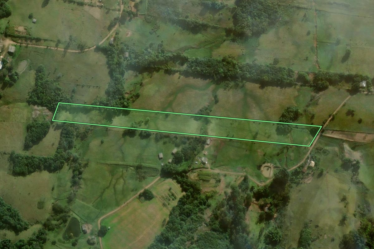 Imagem de satélite do imóvel rural em Santo Antônio da Patrulha (RS), com o contorno declarado no CAR desenhado por cima.
