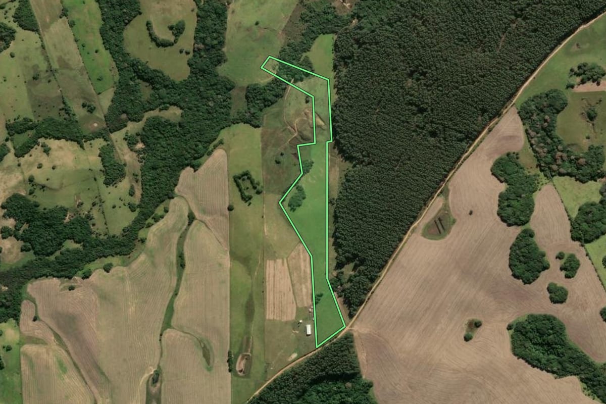 Imagem de satélite do imóvel rural em Santo Antônio da Patrulha (RS), com o contorno declarado no CAR desenhado por cima.