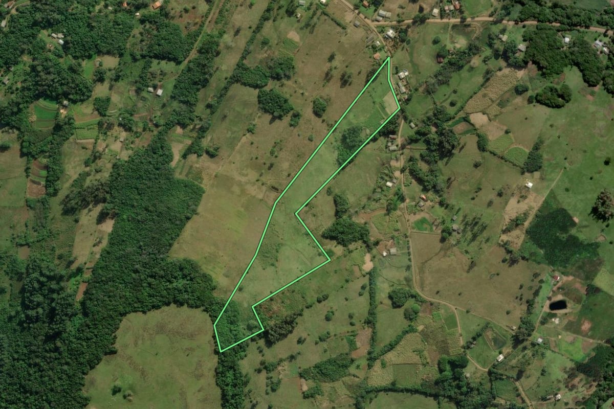 Imagem de satélite do imóvel rural em Santo Antônio da Patrulha (RS), com o contorno declarado no CAR desenhado por cima.
