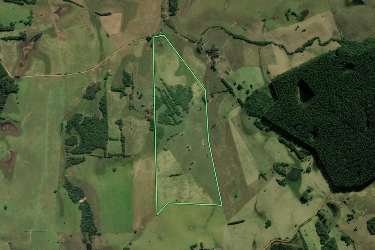 Imagem de satélite do imóvel rural em Santo Antônio da Patrulha (RS), com o contorno declarado no CAR desenhado por cima.