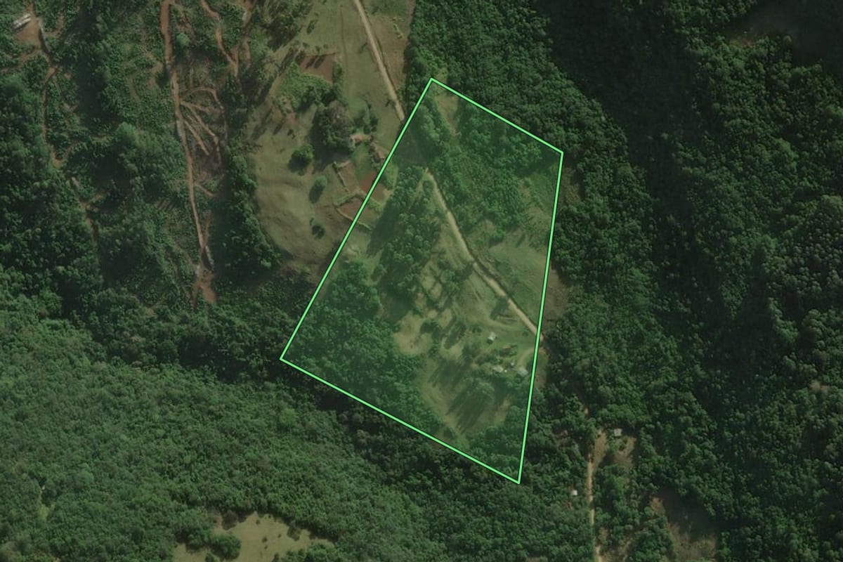 Imagem de satélite do imóvel rural em Santo Antônio da Patrulha (RS), com o contorno declarado no CAR desenhado por cima.