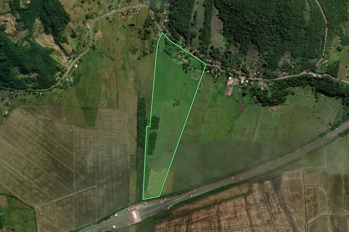 Imagem de satélite do imóvel rural em Santo Antônio da Patrulha (RS), com o contorno declarado no CAR desenhado por cima.