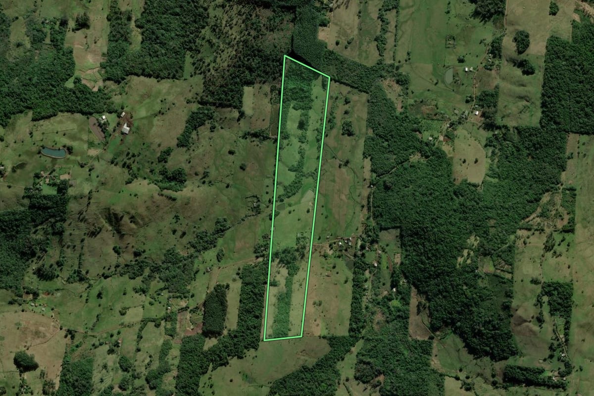 Imagem de satélite do imóvel rural em Santo Antônio da Patrulha (RS), com o contorno declarado no CAR desenhado por cima.