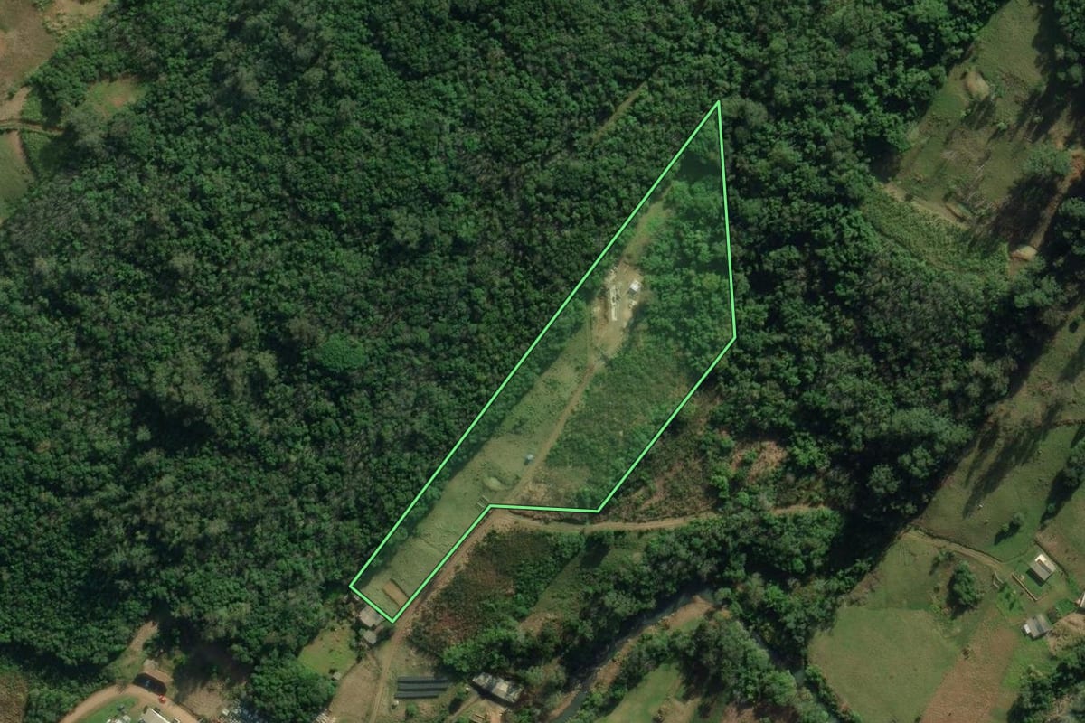 Imagem de satélite do imóvel rural em Santo Antônio da Patrulha (RS), com o contorno declarado no CAR desenhado por cima.