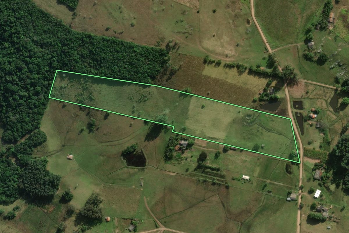 Imagem de satélite do imóvel rural em Santo Antônio da Patrulha (RS), com o contorno declarado no CAR desenhado por cima.