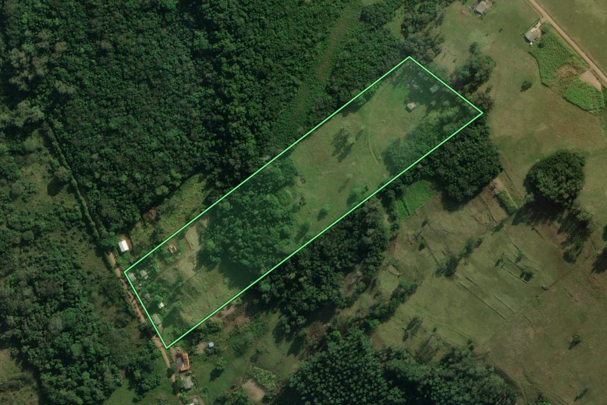 Imagem de satélite do imóvel rural em Santo Antônio da Patrulha (RS), com o contorno declarado no CAR desenhado por cima.