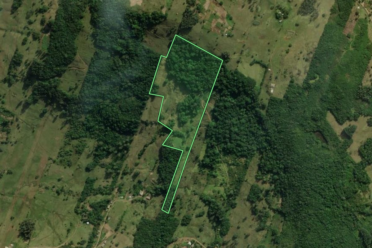 Imagem de satélite do imóvel rural em Santo Antônio da Patrulha (RS), com o contorno declarado no CAR desenhado por cima.