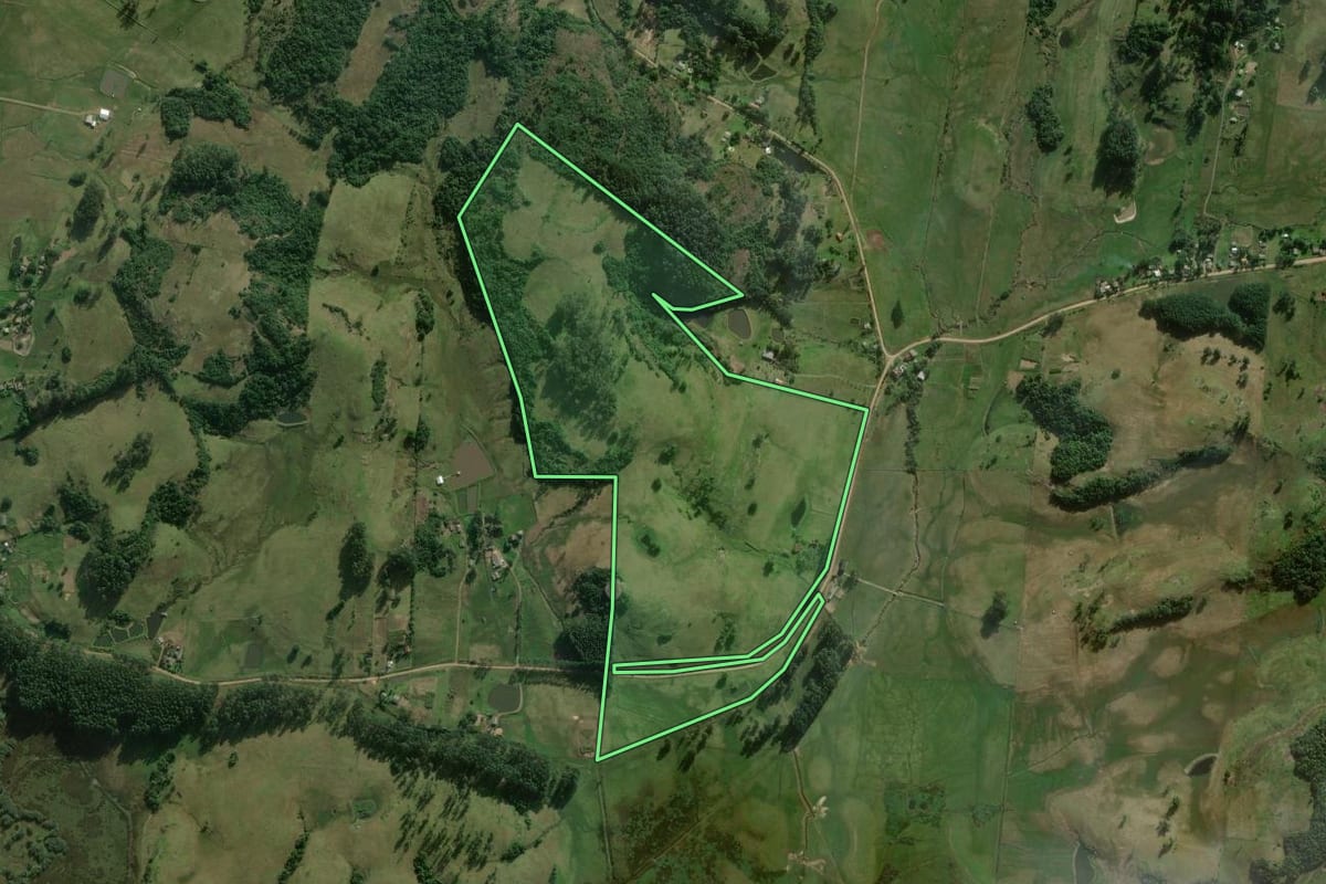 Imagem de satélite do imóvel rural em Santo Antônio da Patrulha (RS), com o contorno declarado no CAR desenhado por cima.