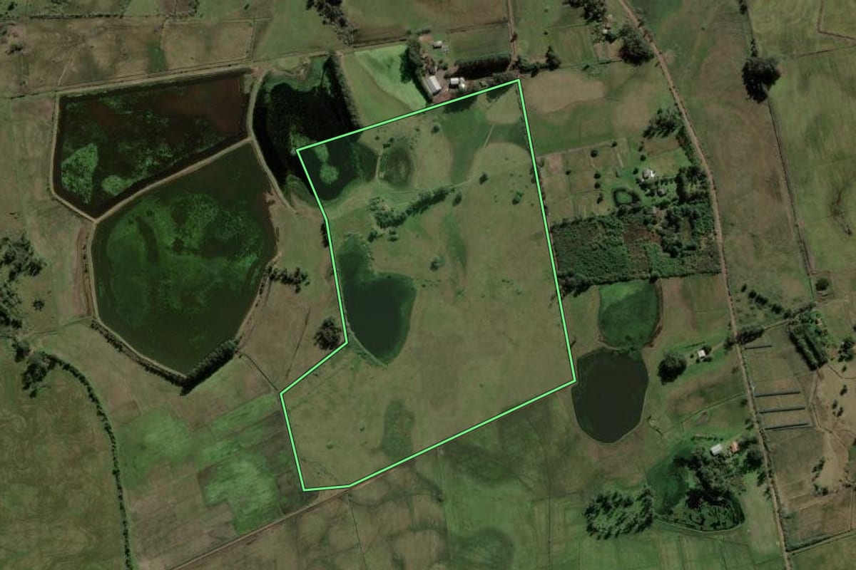Imagem de satélite do imóvel rural em Santo Antônio da Patrulha (RS), com o contorno declarado no CAR desenhado por cima.