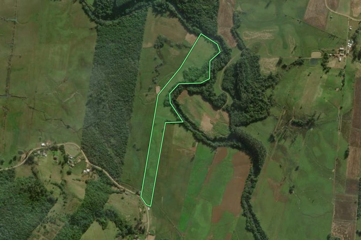 Imagem de satélite do imóvel rural em Santo Antônio da Patrulha (RS), com o contorno declarado no CAR desenhado por cima.