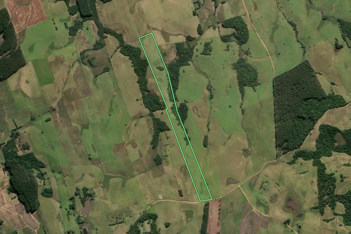 Imagem de satélite do imóvel rural em Santo Antônio da Patrulha (RS), com o contorno declarado no CAR desenhado por cima.