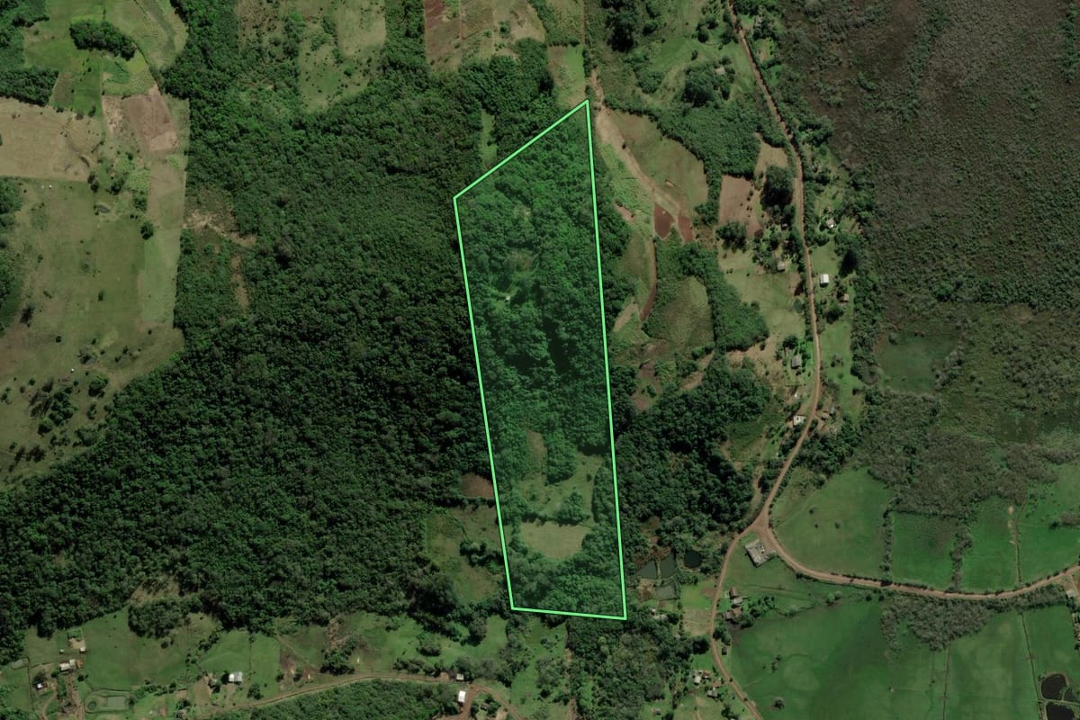 Imagem de satélite do imóvel rural em Santo Antônio da Patrulha (RS), com o contorno declarado no CAR desenhado por cima.