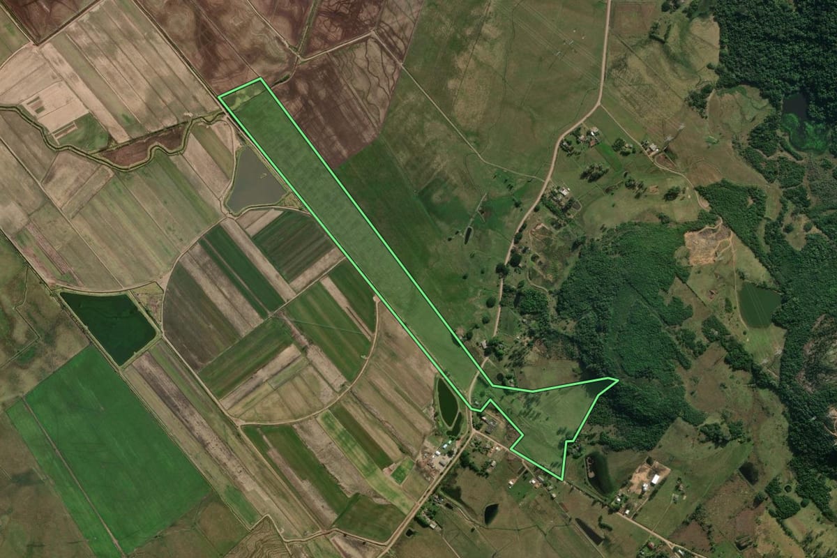 Imagem de satélite do imóvel rural em Santo Antônio da Patrulha (RS), com o contorno declarado no CAR desenhado por cima.