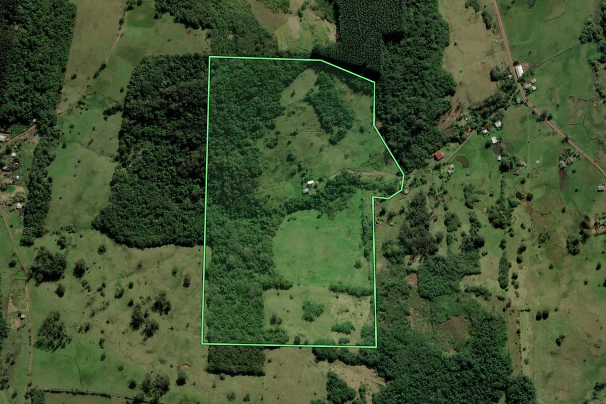 Imagem de satélite do imóvel rural em Santo Antônio da Patrulha (RS), com o contorno declarado no CAR desenhado por cima.