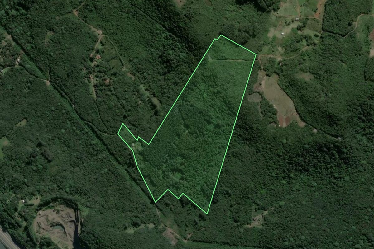 Imagem de satélite do imóvel rural em Santo Antônio da Patrulha (RS), com o contorno declarado no CAR desenhado por cima.