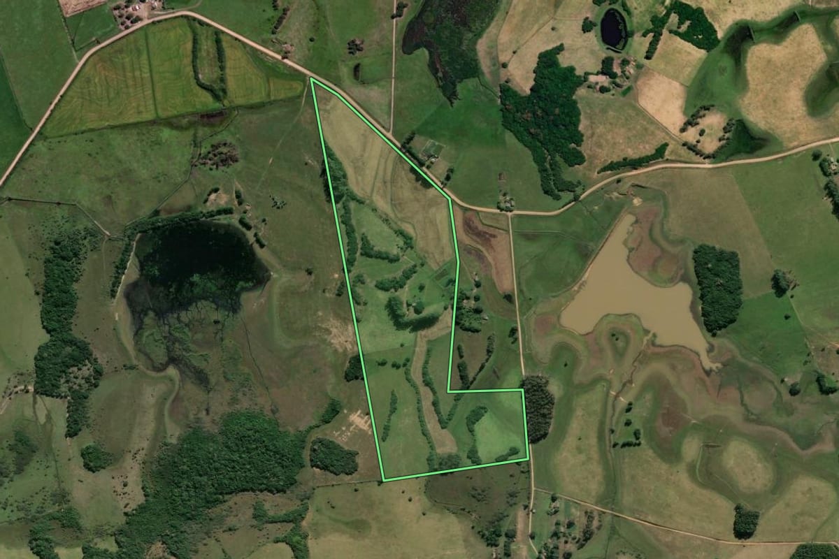 Imagem de satélite do imóvel rural em Santo Antônio da Patrulha (RS), com o contorno declarado no CAR desenhado por cima.
