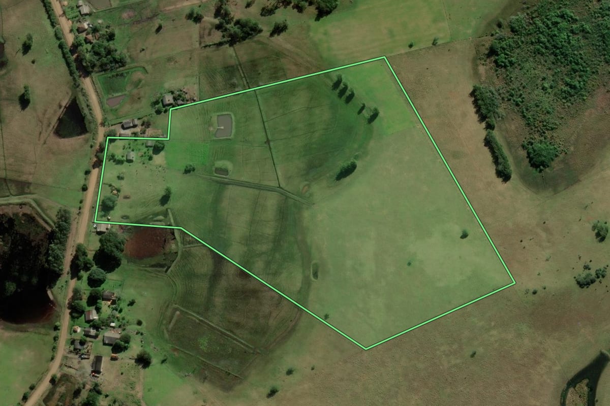 Imagem de satélite do imóvel rural em Santo Antônio da Patrulha (RS), com o contorno declarado no CAR desenhado por cima.