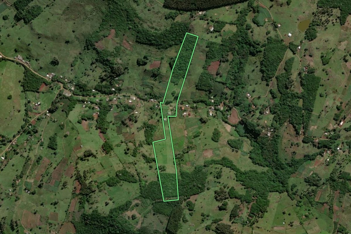 Imagem de satélite do imóvel rural em Santo Antônio da Patrulha (RS), com o contorno declarado no CAR desenhado por cima.
