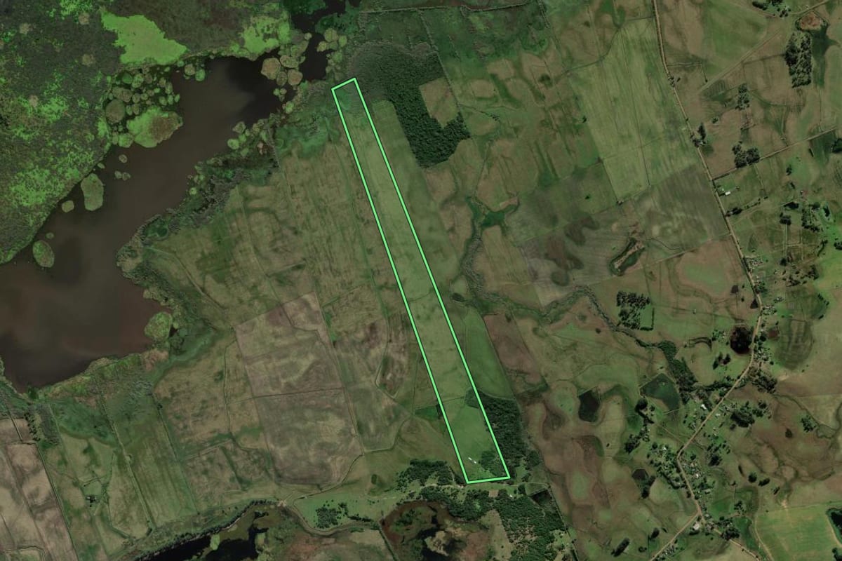 Imagem de satélite do imóvel rural em Santo Antônio da Patrulha (RS), com o contorno declarado no CAR desenhado por cima.