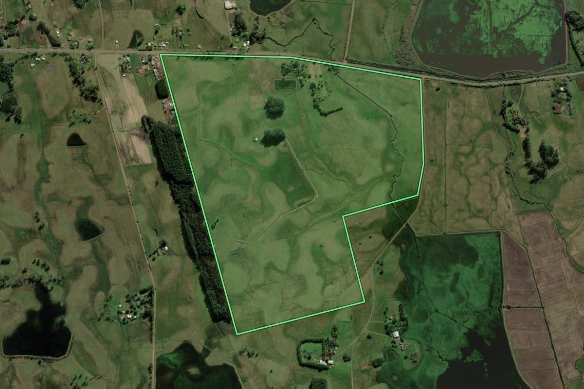 Imagem de satélite do imóvel rural em Santo Antônio da Patrulha (RS), com o contorno declarado no CAR desenhado por cima.