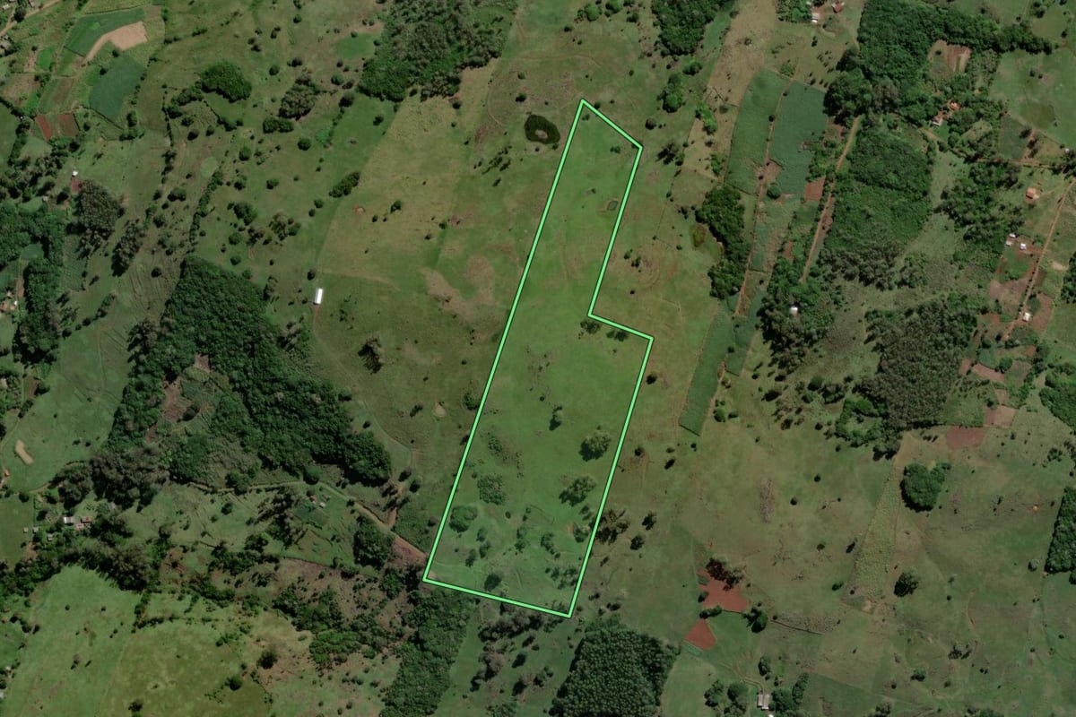 Imagem de satélite do imóvel rural em Santo Antônio da Patrulha (RS), com o contorno declarado no CAR desenhado por cima.