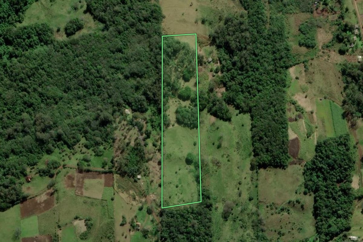 Imagem de satélite do imóvel rural em Santo Antônio da Patrulha (RS), com o contorno declarado no CAR desenhado por cima.