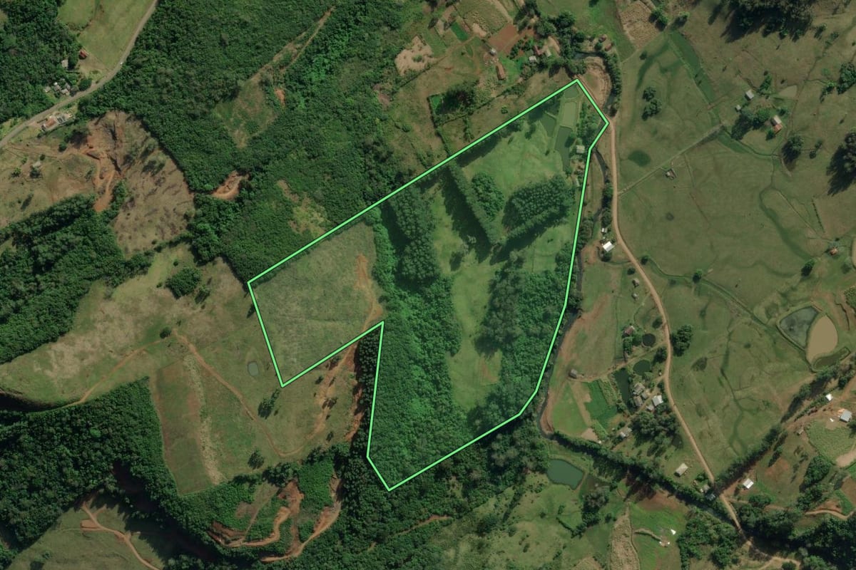 Imagem de satélite do imóvel rural em Santo Antônio da Patrulha (RS), com o contorno declarado no CAR desenhado por cima.