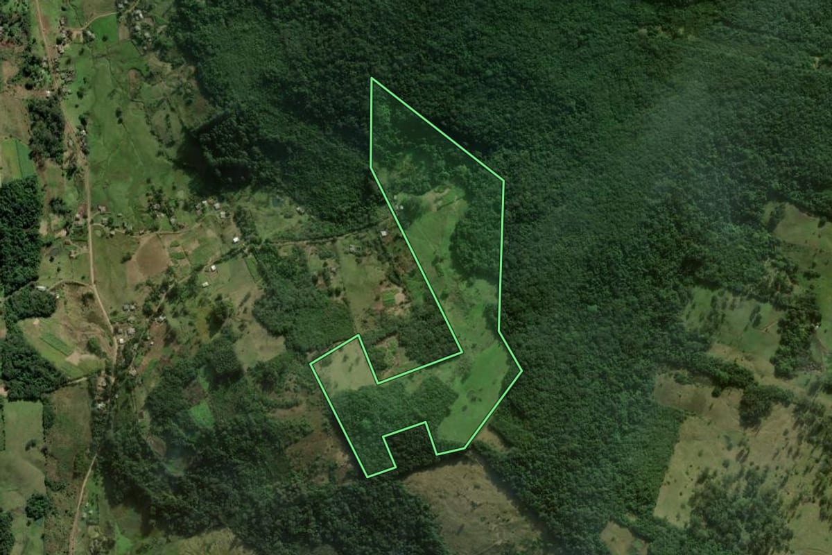 Imagem de satélite do imóvel rural em Santo Antônio da Patrulha (RS), com o contorno declarado no CAR desenhado por cima.