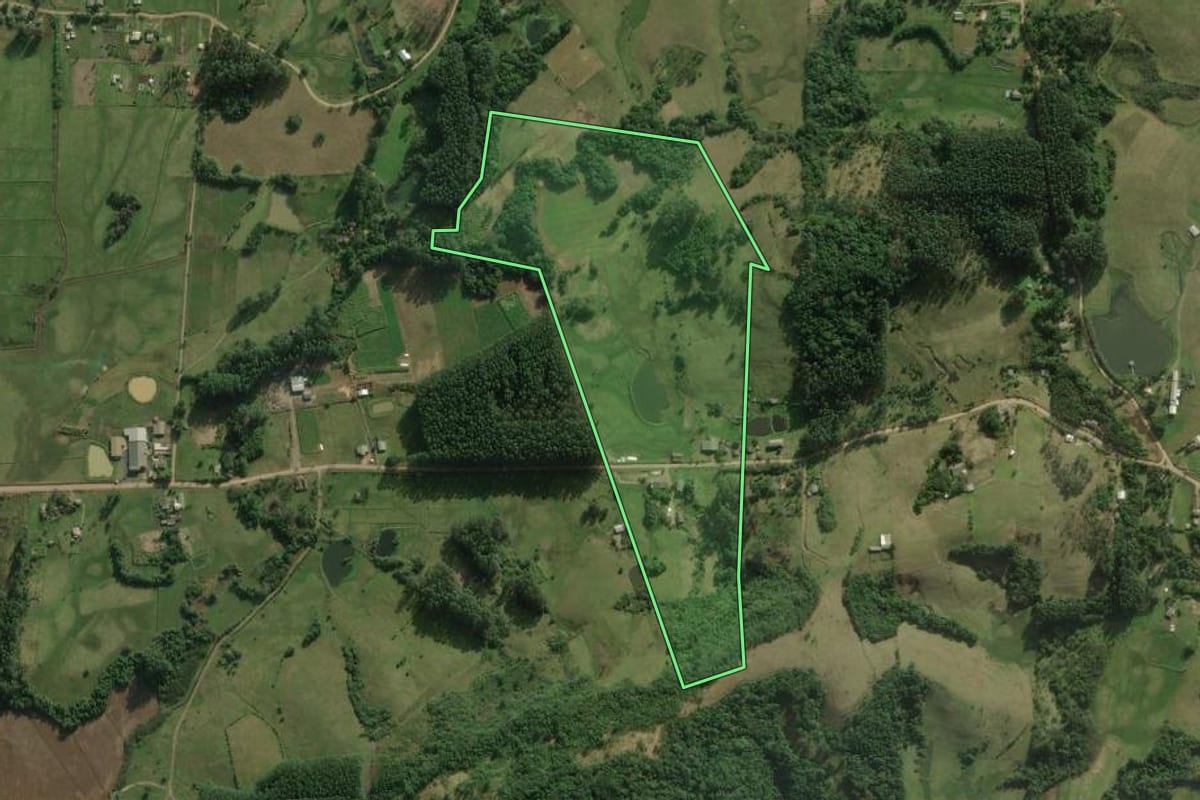 Imagem de satélite do imóvel rural em Santo Antônio da Patrulha (RS), com o contorno declarado no CAR desenhado por cima.
