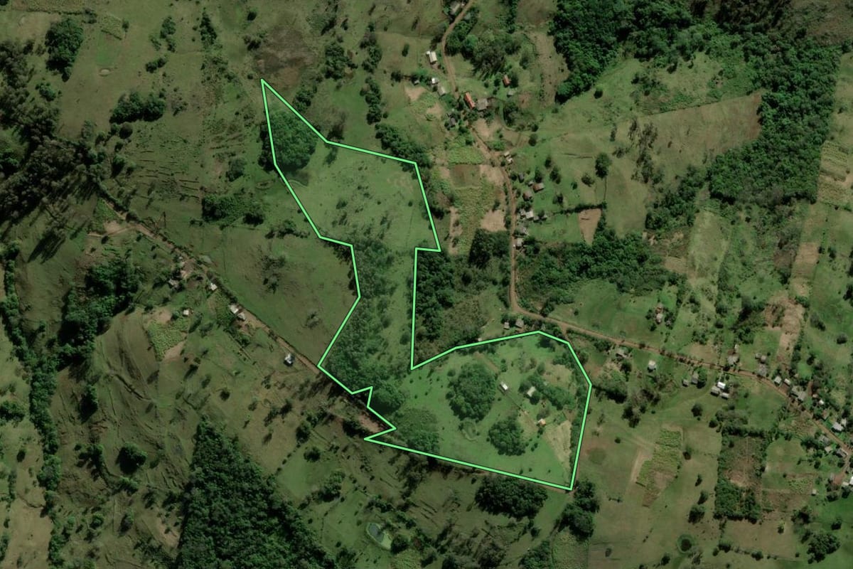 Imagem de satélite do imóvel rural em Santo Antônio da Patrulha (RS), com o contorno declarado no CAR desenhado por cima.