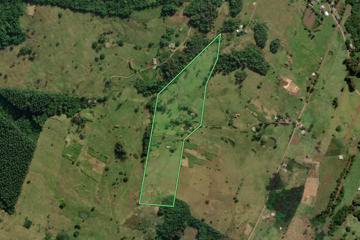 Imagem de satélite do imóvel rural em Santo Antônio da Patrulha (RS), com o contorno declarado no CAR desenhado por cima.