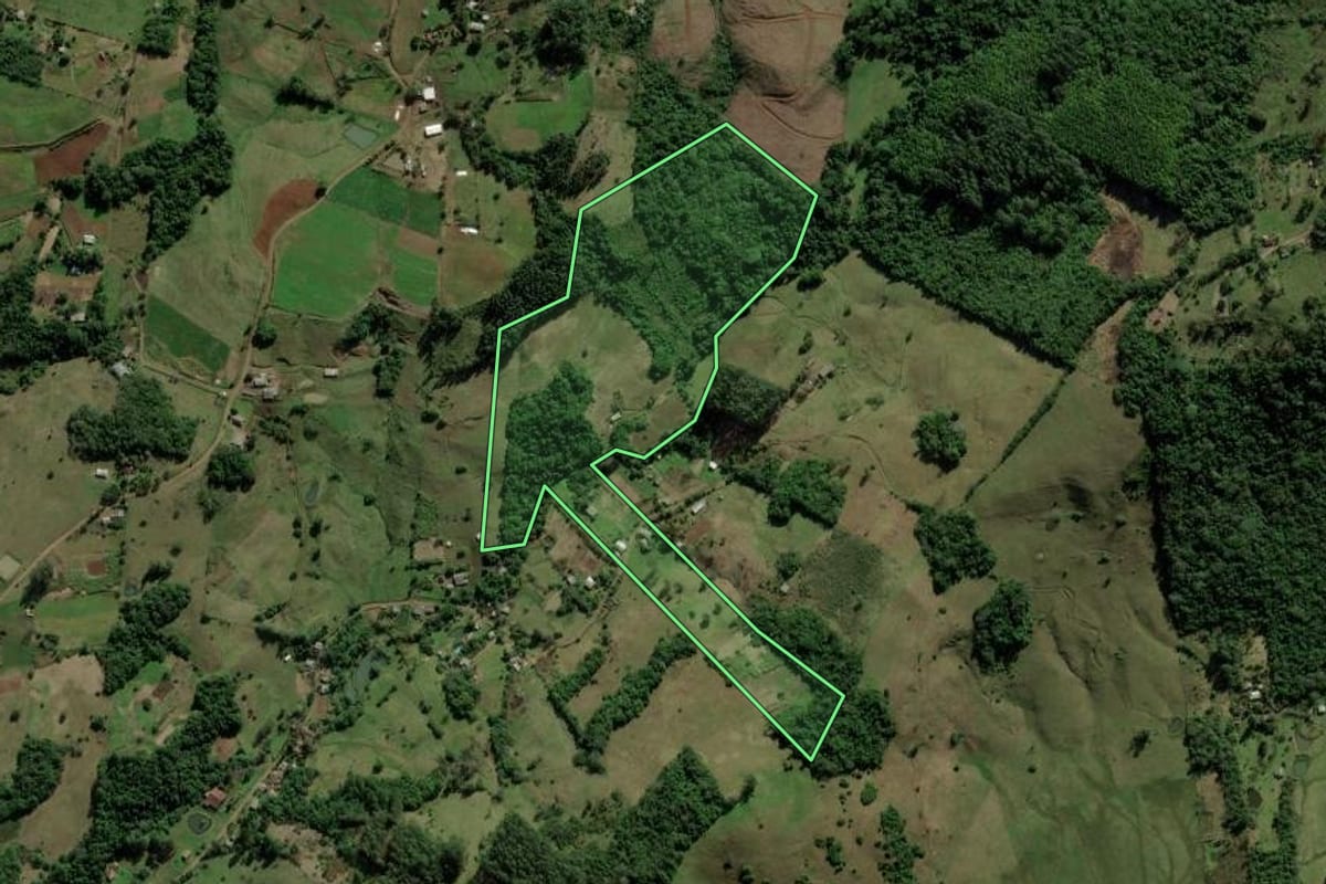 Imagem de satélite do imóvel rural em Santo Antônio da Patrulha (RS), com o contorno declarado no CAR desenhado por cima.