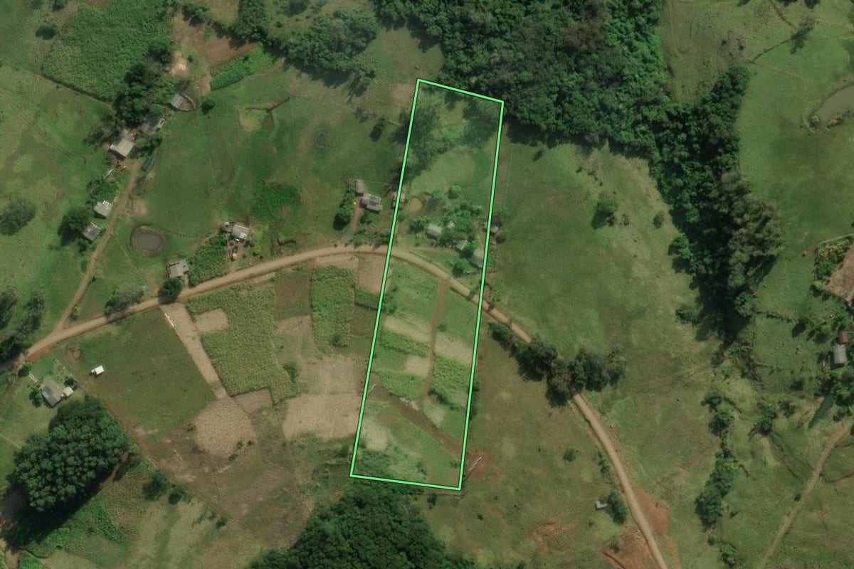 Imagem de satélite do imóvel rural em Santo Antônio da Patrulha (RS), com o contorno declarado no CAR desenhado por cima.