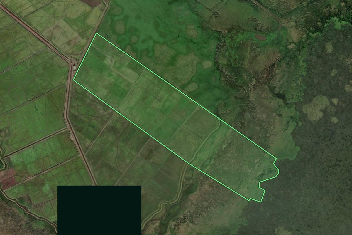 Imagem de satélite do imóvel rural em Santo Antônio da Patrulha (RS), com o contorno declarado no CAR desenhado por cima.