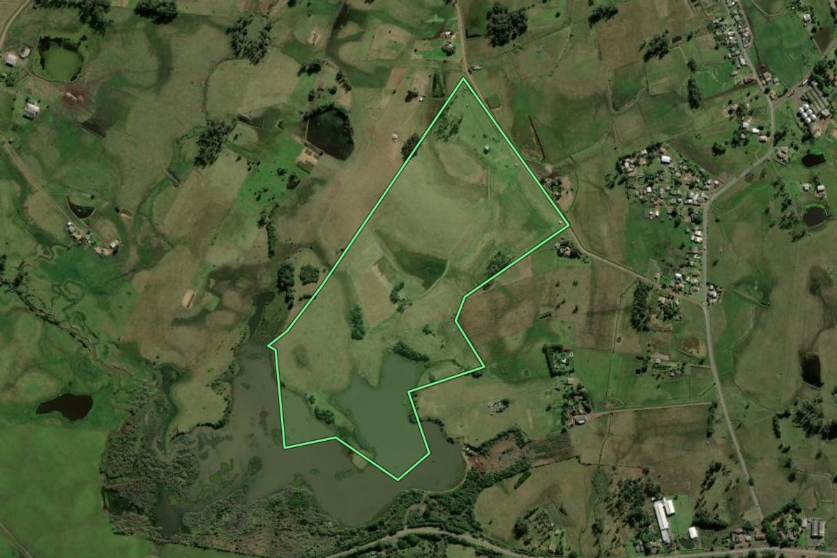 Imagem de satélite do imóvel rural em Santo Antônio da Patrulha (RS), com o contorno declarado no CAR desenhado por cima.