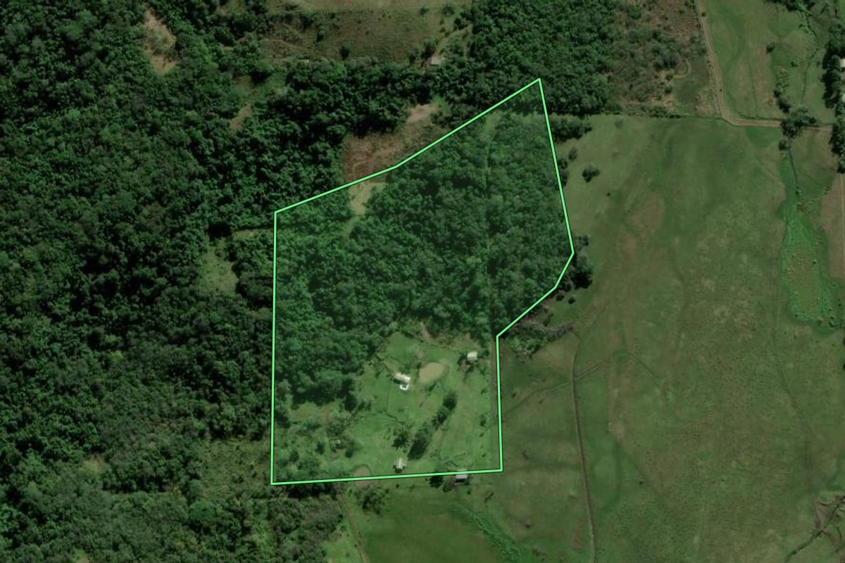 Imagem de satélite do imóvel rural em Santo Antônio da Patrulha (RS), com o contorno declarado no CAR desenhado por cima.